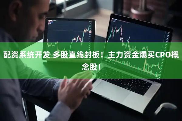 配资系统开发 多股直线封板！主力资金爆买CPO概念股！